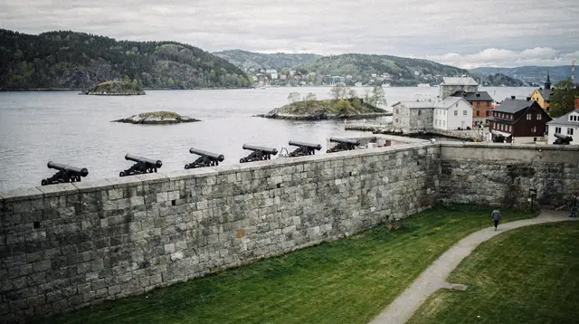 Oslo: WWII history private walking tour