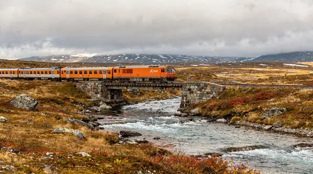 From Oslo: train and bus tour to Bergen via Hardangervidda and fjord