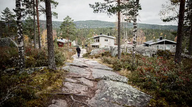 Oslo: half-day panoramic lakes and forests hiking tour