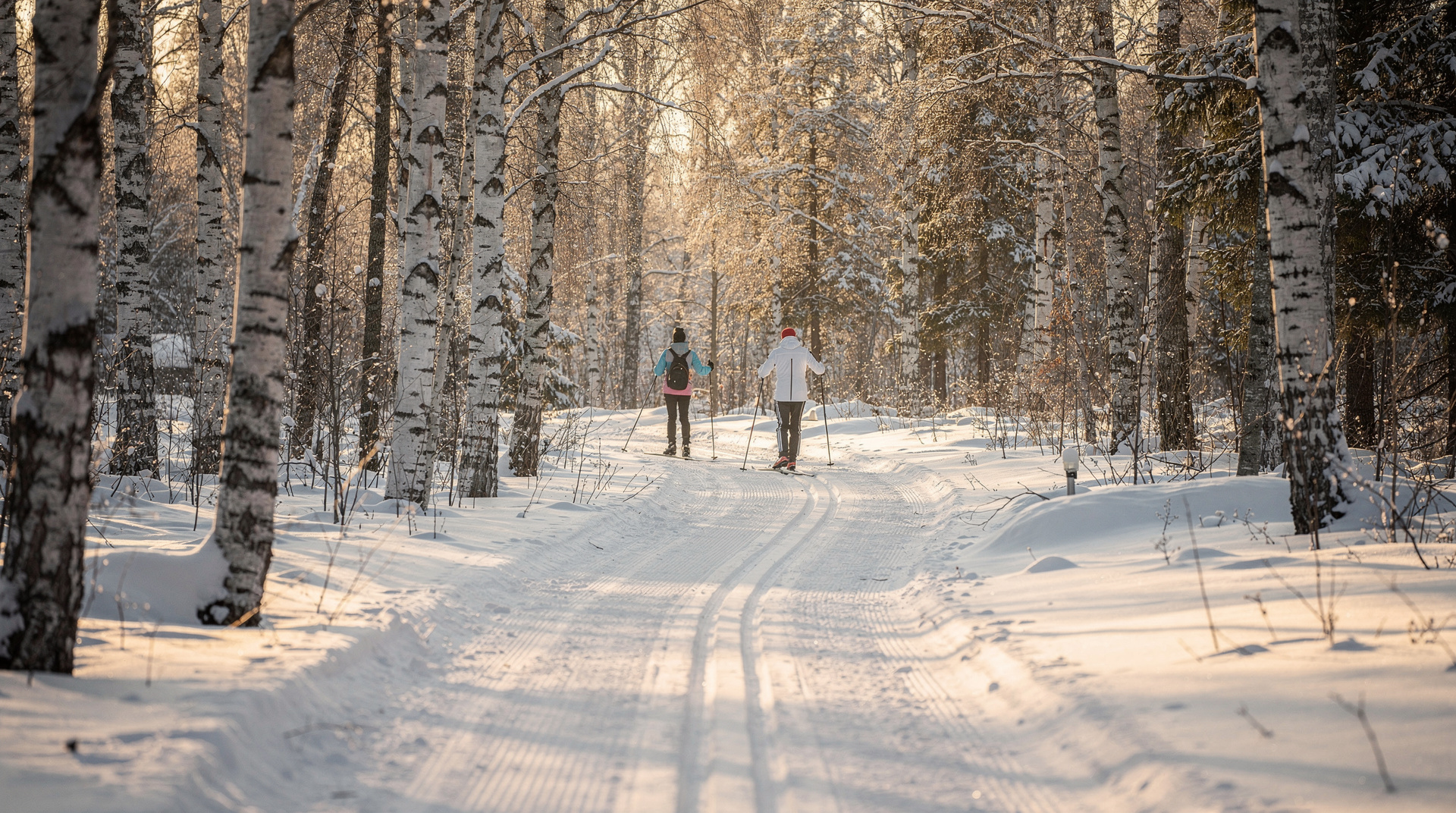 Cross-country skiing in Oslo — trails, rental, and lessons