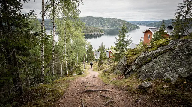Oslo nature walk: forest to fjord