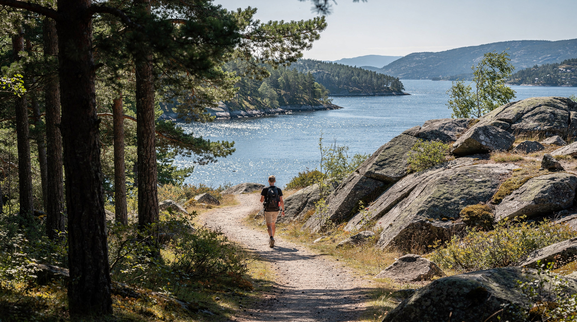 Randonnée guidée forêt-fjord à Oslo — à quoi s'attendre — Guide complet de la randonnée forêt-fjord d'Oslo — itinéraire, public cible, pri