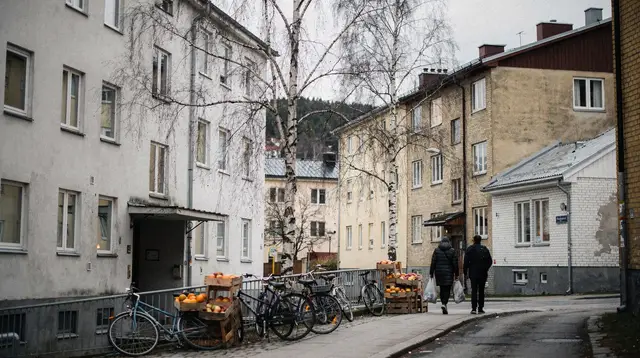 Oslo: Norwegian food tour and hidden gems city walk