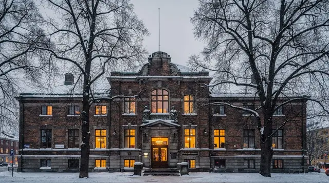 Oslo: Viking Ship Museum and Historical Museum entry ticket
