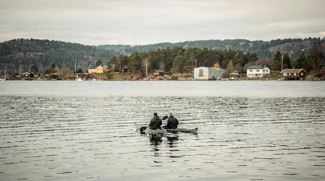 Oslo: 3-hour kayaking trip on the Oslofjord