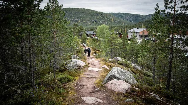 Oslo: best view of the Oslofjord hike