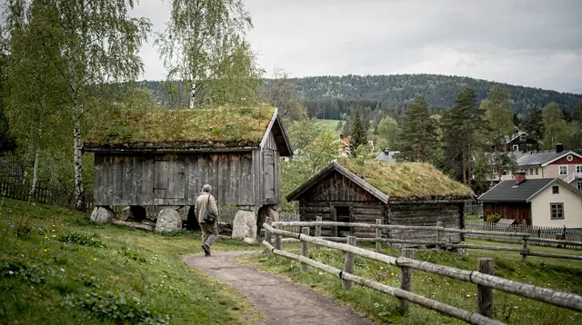 Oslo: Norsk Folkemuseum private tour and skip-the-line tickets