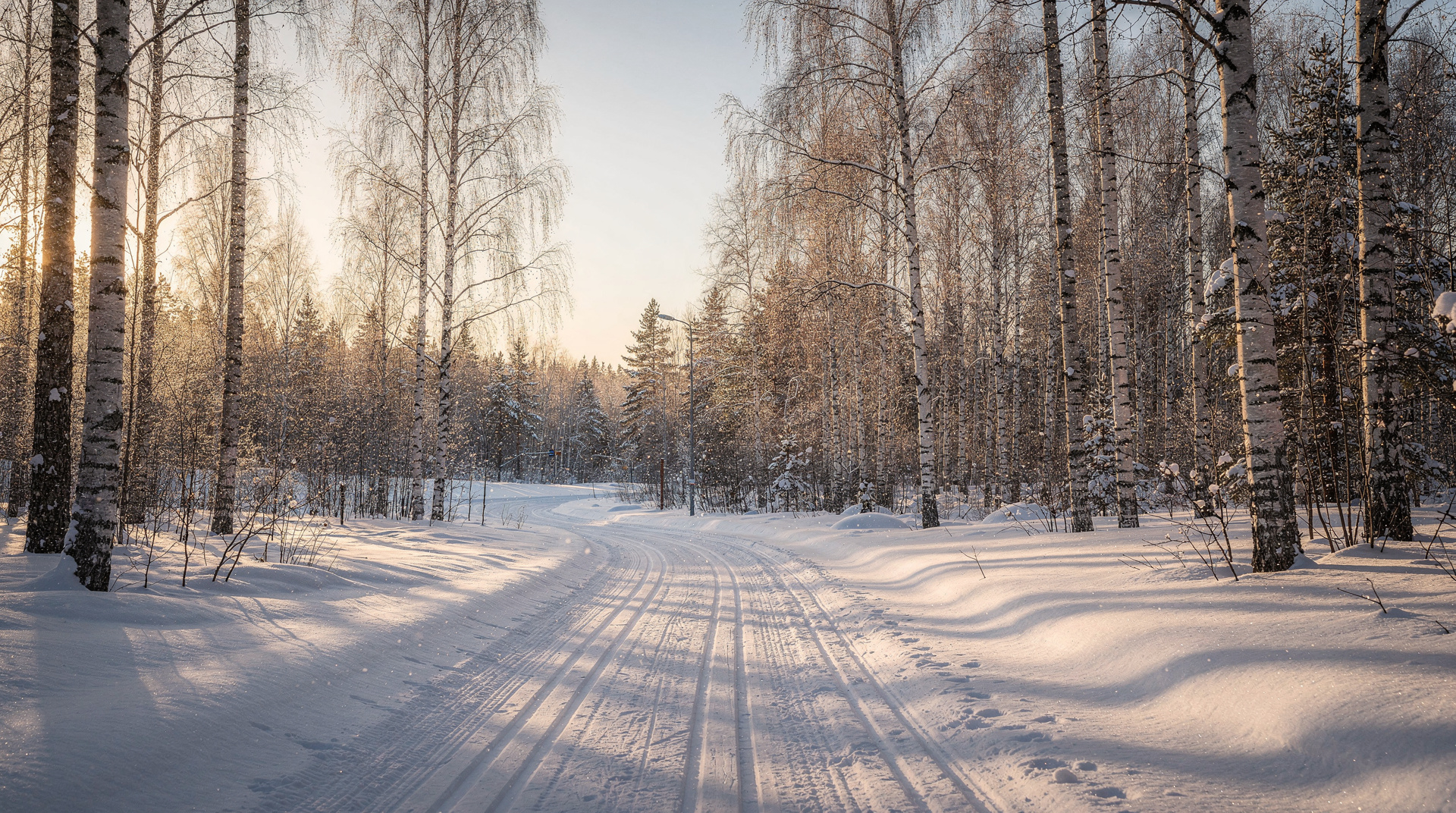 Winter sports — Cross-country skiing, snowshoeing, the SNØ dome and torchlight forest walks