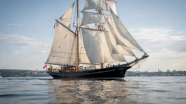 Oslo: Oslofjord sightseeing cruise by sailing ship