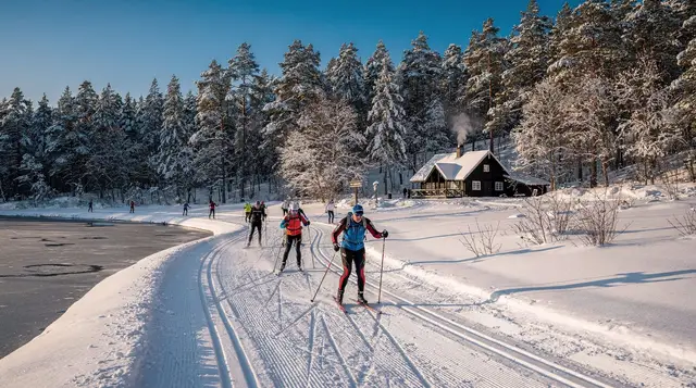 Hønefoss: bonfire and snowshoeing in Nordmarka