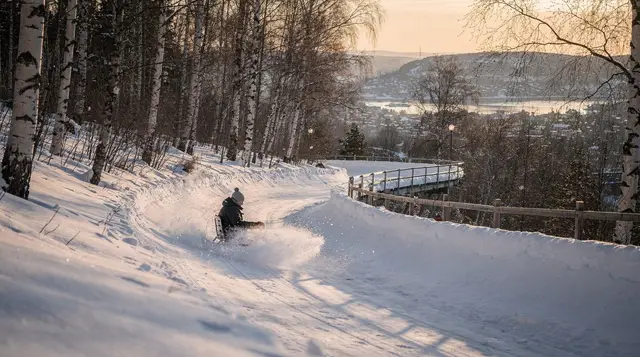Oslo: sledging experience at Holmenkollen